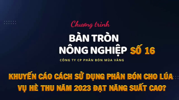 Bàn tròn nông nghiệp số 16 - Chuyên gia khuyến cáo cách sử dụng phân bón cho lúa vụ Hè Thu năm 2023 đạt năng suất cao.