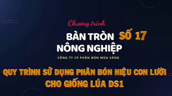 CHƯƠNG TRÌNH BÀN TRÒN NÔNG NGHIỆP SỐ 17: QUY TRÌNH SỬ DỤNG PHÂN BÓN HIỆU CON LƯỜI CHO GIỐNG LÚA DS1
