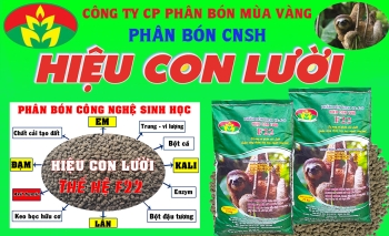 Tại sao nên sử dụng phân bón hiệu con Lười cho cây lúa vào vụ hè thu?