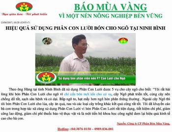 Hiệu quả Phân Con Lười bón cho cây Ngô tại Ninh Bình