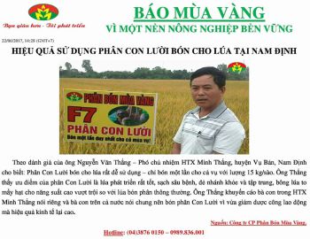 Đánh giá hiệu quả bón Phân Con Lười cho Lúa tại tỉnh Nam Định