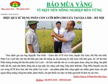 Đánh giá hiệu quả Phân Con Lười bón cho Lúa tại huyện Gia Lâm, Hà Nội