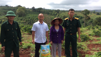 Cách bón Phân Con Lười cho cây Cà Phê 