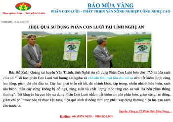 Hiệu quả sử dụng Phân Con Lười tại huyện Yên Thành, tỉnh Nghệ An 