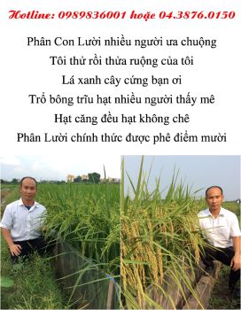 	Phân Con Lười - Phân bón Công Nghệ sinh học - Phát triển nền Nông Nghiệp bền vững