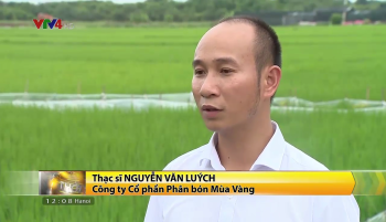 Phân Con Lười - truyền hình VTV4 - Bản tin Tiếng Việt