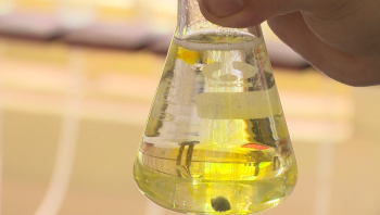 Phân Con Lười - Truyền hình VTV4 - Bản tin tiếng Pháp