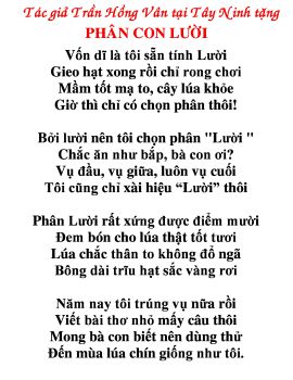 Phân Con Lười - Phân bón tốt nhất cho cây lúa