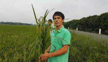 Phân Con Lười - Phân bón thông minh nhất hiện nay 