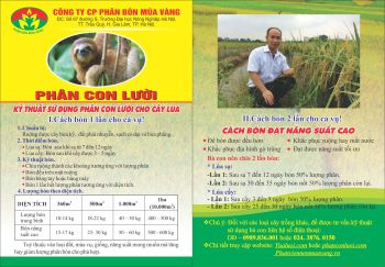 QUY TRÌNH BÓN PHÂN CON LƯỜI F8+ CHO CÂY LÚA