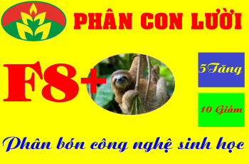 Cách bón phân tốt nhất cho cây lúa