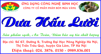 Dưa hấu Lười - Ứng dụng công nghệ sinh học - Phân Con Lười