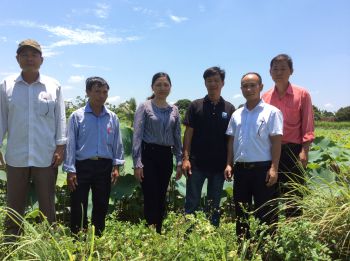 Đánh giá hiệu quả sử dụng của Phân Con Lười - Phân bón nhả chậm cho cây Sen tại Hải Dương