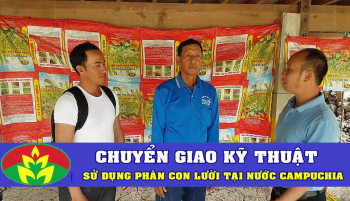 Đi chuyển giao kỹ thuật bón Phân Con Lười cho cây Lúa tại nước Campuchia
