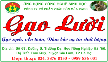 Nông sản Lười - Thương hiệu độc quyền của công ty CP Phân bón Mùa Vàng