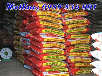 Bón Phân Hiệu Con Lười NPK17.5.11 cho Lúa vụ Mùa năm 2018 tai xã An Lư, huyện Thủy Nguyên, Hải Phòng