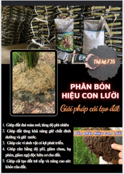 5 lợi ích của phân bón hiệu Con Lười giúp cải tạo và nâng cao sức khỏe của đất canh tác