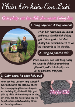 PHÂN BÓN HIỆU CON LƯỜI - GIẢI PHÁP CẢI TẠO ĐẤT NGAY TRONG QUÁ TRÌNH CANH TÁC