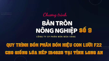 Bàn tròn nông nghiệp số 9: Quy trình bón phân hiệu Con Lười F22 cho lúa Nếp IR4625 tại tỉnh Long An