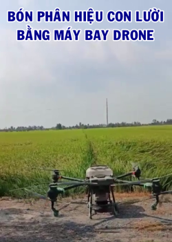 Bón phân hiệu Con Lười bằng máy bay drone tại huyện Tháp Mười, tỉnh Đồng Tháp