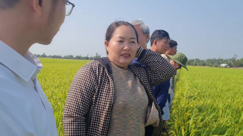 Chị Hường tại huyện Tháp Mười, tỉnh Đồng Tháp chia sẻ về hiệu quả của phân bón hiệu Con Lười cho lúa