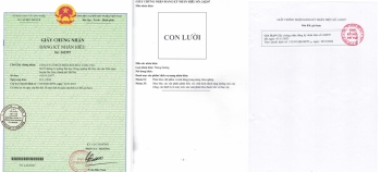 Thương hiệu Phân Bón Hiệu Con Lười là nhãn hiệu độc quyền thuộc Công ty Cổ phần Phân Bón Mùa Vàng, đã được Cục Sở Hữu Trí Tuệ chứng nhận bảo hộ thương hiệu.