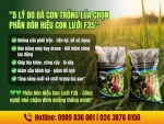 Phân Bón Hiệu Con Lười F35 - Giúp lúa tốt bền – Cứng cây – Chống đổ ngã tốt - Trúng mùa