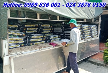 Phân bón hiệu Con Lười F35 tiếp tục phục vụ bà con trồng cây ăn trái tại Tháp Mười - Đồng Tháp