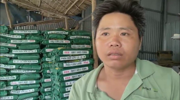 Chúng tôi vui mừng chia sẻ với anh Long - một nông dân ưu tú tại xã Bình Thạnh, huyện Mộc Hóa, tỉnh Long An đã có một vụ mùa thắng lợi khi sử dụng phân bón hiệu Con Lười