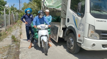 Phân bón hiệu Con Lười - phân bón tốt nhất cho cây lúa