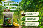 Vườn Mít 13 Tháng Tuổi Tại Cái Bè, Tiền Giang Phát Triển Vượt Trội Nhờ Phân Bón Hiệu Con Lười F35