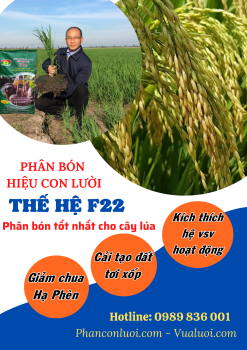 5 lợi ích của phân bón hiệu Con Lười giúp cải tạo đất tơi xốp cho người trồng lúa