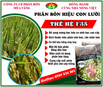 Anh Tấn ở xã Thạnh Mỹ, huyện Châu Phú, tỉnh An Giang chia sẻ thành quả của cây lúa sử dụng phân bón hiệu Con Lười
