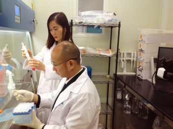 Tầm nhìn và sứ mệnh của Công Ty Cổ Phần Phân Bón Mùa Vàng