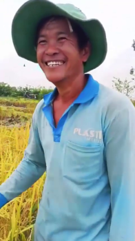 Bà con trồng lúa miền Tây tin dùng phân bón Con Lười F35 cho Lúa đẹp, năng suất cao, hiệu quả bền vững