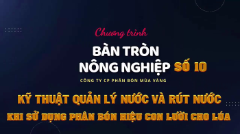 BÀN TRÒN NÔNG NGHIỆP SỐ 10: KỸ THUẬT QUẢN LÝ NƯỚC KHI SỬ DỤNG PHÂN BÓN HIỆU CON LƯỜI F22 CHO CÂY LÚA