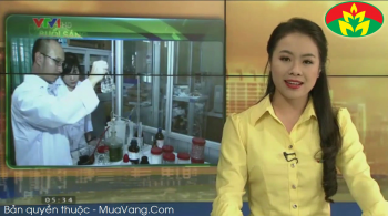 Lịch sử hình thành và phát triển công ty cổ phần phân bón Mùa Vàng