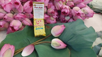 Mời bà con cùng thưởng thức Trà Lười ướp với Sen Lười - Sản phẩm sử dụng phân bón hiệu Con Lười