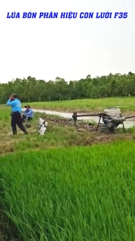 BÓN PHÂN HIỆU CON LƯỜI F35 ĐỢT 3 BẰNG DRONE – GIẢI PHÁP HIỆU QUẢ, TIẾT KIỆM CHO RUỘNG LÚA KHỎE MẠNH