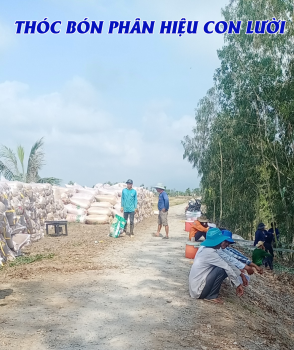 Chúc mừng bà con trồng lúa Miền Tây sử dụng phân bón hiệu Con Lười đã có vụ mùa thắng lợi - Vừa được mùa - Vừa được giá.