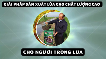 Bàn tròn nông nghiệp số 3 - Ứng dụng phân bón hiệu Con Lười vào sản xuất lúa gạo chất lượng cao