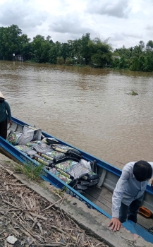 Phân bón hiệu Con Lười F35 tiếp tục xuống ghe về với bà con trồng mít Miền Tây