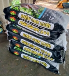 Nông Dân Vĩnh Long Giữ Vườn Mít Xanh Tốt, Trái Đẹp Nhờ Phân Bón Hiệu Con Lười F35