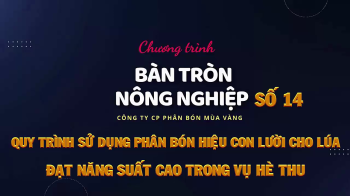 Bàn tròn nông nghiệp số 14 -Quy trình bón phân bón hiệu Con Lười cho lúa vụ Hè Thu đạt năng suất cao