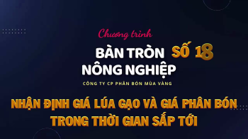 BÀN TRÒN NÔNG NGHIỆP SỐ 18: KHUYẾN CÁO GIÁ LÚA GẠO VÀ GIÁ PHÂN BÓN TRONG THỜI GIAN TỚI