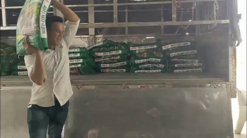 PHÂN BÓN HIỆU CON LƯỜI ĐÃ CÓ MẶT TẠI ĐẠI LÝ BẢY PHƯƠNG TẠI TAM NÔNG - ĐỒNG THÁP ĐỂ PHỤC VỤ BÀ CON