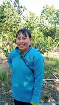 Nông Dân Trồng Mít Tỉnh An Giang Chia Sẻ Lý Do Tin Dùng Phân Bón Hiệu Con Lười F35:  Cây Khỏe – Trái Đẹp – Nặng Ký – Không Xì Mủ Thân - Không Xơ Đen - Tăng Hiệu Quả Kinh Tế Tối Ưu.