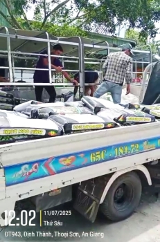 Giao 19,5 Tấn Phân Bón Hiệu Con Lười F35 Về Định Thành – Thoại Sơn – An Giang: Bà Con Tin Dùng Nhiều Vụ Liền!
