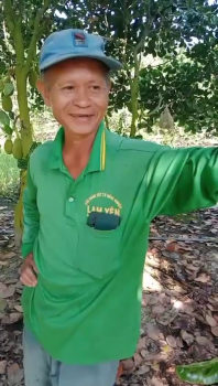 Phân Bón Hiệu Con Lười F35 Hân Hạnh Được Phục Vụ Tận Tình Bà Con Trồng Mít Tại An Giang Trong Mùa Nghịch Tại Vườn