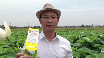 Bài thơ Trà Lười ướp với Sen Lười